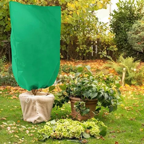 Fei Yu Housse De Protection Des Plantes, 2 Pièces Vert Sac De Réchauffement Des Plantes D'hiver, Housse De Protection Contre Le Gel Avec Cordon De Serrage Pour Fleurs D'extérieur Et Arbustes (80x100 CM ) 7 Fei Yu Housse De Protection Des Plantes, 2 Pièces Vert Sac De Réchauffement Des Plantes D'hiver, Housse De Protection Contre Le Gel Avec Cordon De Serrage Pour Fleurs D'extérieur Et Arbustes (80x100 CM ) – Image 5