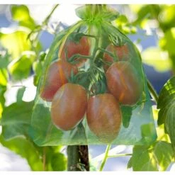 PERLE RARE 100 Pièces Sac De Protection De Grappes De Raisin, Taille: 30 X 20 Cm, Couleur: Vert, Avec Cordon, Donne Protection Totale Contre Les Guêpes, Les Oiseaux, Matériau: Organza -Protection Pour Végétaux Soldes 55607854 5