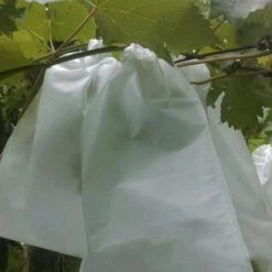 CADEAUX 100Pcs Sacs De Protection Du Raisin Pour Les Fruits Et Légumes Sac De Raisins En Maille Sac Contre Les Insectes Anti-Oiseaux Anti-Parasites Jardin étanche 240X360Mm -Protection Pour Végétaux Soldes 55621476 3