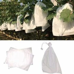 CADEAUX 100Pcs Sacs De Protection Du Raisin Pour Les Fruits Et Légumes Sac De Raisins En Maille Sac Contre Les Insectes Anti-Oiseaux Anti-Parasites Jardin étanche 240X360Mm -Protection Pour Végétaux Soldes 55621476 5