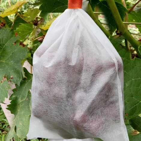 CADEAUX 100 Pcs Jardin Raisins Fruits Protection Sac Fruit Forêt Légumes Lit Fleur Pest Control Maille Sac Insect Isolation Net Barrière Sac (180 * 200mm, Blanc) 4 CADEAUX 100 Pcs Jardin Raisins Fruits Protection Sac Fruit Forêt Légumes Lit Fleur Pest Control Maille Sac Insect Isolation Net Barrière Sac (180 * 200mm, Blanc) – Image 2