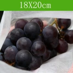 CADEAUX 100 Pcs Jardin Raisins Fruits Protection Sac Fruit Forêt Légumes Lit Fleur Pest Control Maille Sac Insect Isolation Net Barrière Sac (180 * 200mm, Blanc) 11 CADEAUX 100 Pcs Jardin Raisins Fruits Protection Sac Fruit Forêt Légumes Lit Fleur Pest Control Maille Sac Insect Isolation Net Barrière Sac (180 * 200mm, Blanc) -Protection Pour Végétaux Soldes 56623646 5