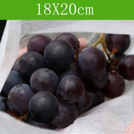 CADEAUX 100 Pcs Jardin Raisins Fruits Protection Sac Fruit Forêt Légumes Lit Fleur Pest Control Maille Sac Insect Isolation Net Barrière Sac (180 * 200mm, Blanc) 7 CADEAUX 100 Pcs Jardin Raisins Fruits Protection Sac Fruit Forêt Légumes Lit Fleur Pest Control Maille Sac Insect Isolation Net Barrière Sac (180 * 200mm, Blanc) – Image 5