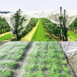 CHANCEY Filet De Protection Des Légumes, 6x2.5M Filet D'anti-Insectes En Maille, Insectes Protection Jardin, Pour Protéger Plantes Fruits Fleurs Cultures Vergers,SEMAket,blanc 9 CHANCEY Filet De Protection Des Légumes, 6x2.5M Filet D'anti-Insectes En Maille, Insectes Protection Jardin, Pour Protéger Plantes Fruits Fleurs Cultures Vergers,SEMAket,blanc -Protection Pour Végétaux Soldes 56679421 3