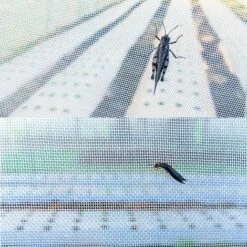 CHANCEY Filet De Protection Des Légumes, 6x2.5M Filet D'anti-Insectes En Maille, Insectes Protection Jardin, Pour Protéger Plantes Fruits Fleurs Cultures Vergers,SEMAket,blanc 11 CHANCEY Filet De Protection Des Légumes, 6x2.5M Filet D'anti-Insectes En Maille, Insectes Protection Jardin, Pour Protéger Plantes Fruits Fleurs Cultures Vergers,SEMAket,blanc -Protection Pour Végétaux Soldes 56679421 5