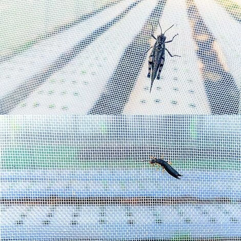 CHANCEY Filet De Protection Des Légumes, 6x2.5M Filet D'anti-Insectes En Maille, Insectes Protection Jardin, Pour Protéger Plantes Fruits Fleurs Cultures Vergers,SEMAket,blanc 7 CHANCEY Filet De Protection Des Légumes, 6x2.5M Filet D'anti-Insectes En Maille, Insectes Protection Jardin, Pour Protéger Plantes Fruits Fleurs Cultures Vergers,SEMAket,blanc – Image 5