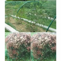 CHANCEY Filet Anti Oiseaux Filets Pour Jardin Protecteur Maille Filet De Protection Filet De Volière Vert Pour Plantes Florales (Vert)SEMAket,4*10m 9 CHANCEY Filet Anti Oiseaux Filets Pour Jardin Protecteur Maille Filet De Protection Filet De Volière Vert Pour Plantes Florales (Vert)SEMAket,4*10m -Protection Pour Végétaux Soldes 56679425 3