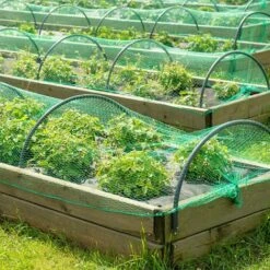 CHANCEY Filet Anti Oiseaux,3pcs 2 * 10m Vert Jardin Oiseau Filet De Pour Plante Filet De Protection,Protéger Les Plantes, Les Fruits, Les Fleurs Et Les Légumes,Maille De 15 Mm,SEMAket 10 CHANCEY Filet Anti Oiseaux,3pcs 2 * 10m Vert Jardin Oiseau Filet De Pour Plante Filet De Protection,Protéger Les Plantes, Les Fruits, Les Fleurs Et Les Légumes,Maille De 15 Mm,SEMAket -Protection Pour Végétaux Soldes 56679437 4