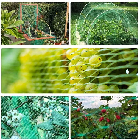 PETITES ECREVISSES 2 Pcs Filet Anti Oiseaux Filet De Protection Pour Jardin Potager Poulaille Maille De 15 Mm - 2x10m 6 PETITES ECREVISSES 2 Pcs Filet Anti Oiseaux Filet De Protection Pour Jardin Potager Poulaille Maille De 15 Mm - 2x10m – Image 4