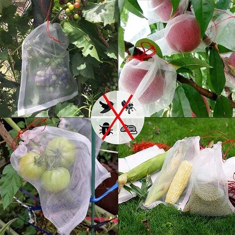PETITES ECREVISSES Lot De 50 Sac Protection Fruits En Nylon Sachet Protection Raisin Filet De Protection Pour Jardin Potager 30x20cm 7 PETITES ECREVISSES Lot De 50 Sac Protection Fruits En Nylon Sachet Protection Raisin Filet De Protection Pour Jardin Potager 30x20cm – Image 5