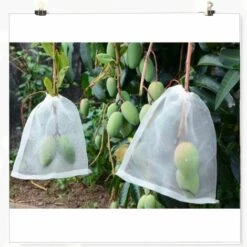 STARLIGHT SL.GT,Filets Pour Jardin Protection Plantes - Filet à Légumes, Filet De Protection Contre Les Insectes Et Les Oiseaux (20 Pièces, 35 * 25cm) 11 STARLIGHT SL.GT,Filets Pour Jardin Protection Plantes - Filet à Légumes, Filet De Protection Contre Les Insectes Et Les Oiseaux (20 Pièces, 35 * 25cm) -Protection Pour Végétaux Soldes 56812389 5