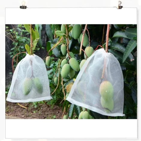 STARLIGHT SL.GT,Filets Pour Jardin Protection Plantes - Filet à Légumes, Filet De Protection Contre Les Insectes Et Les Oiseaux (20 Pièces, 35 * 25cm) 7 STARLIGHT SL.GT,Filets Pour Jardin Protection Plantes - Filet à Légumes, Filet De Protection Contre Les Insectes Et Les Oiseaux (20 Pièces, 35 * 25cm) – Image 5