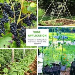 BENOBBY KIDS Filet De Jardin Blanc 1,35 X 2,7 M Filet De Treillis En Polyester Filet De Pois Pour Haricots Fruits Plantes Grimpantes -Protection Pour Végétaux Soldes 56862058 3