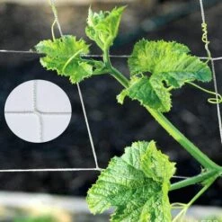 BENOBBY KIDS Filet De Jardin Blanc 1,35 X 2,7 M Filet De Treillis En Polyester Filet De Pois Pour Haricots Fruits Plantes Grimpantes -Protection Pour Végétaux Soldes 56862058 5