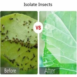 Protection Pour Végétaux Soldes -Protection Pour Végétaux Soldes 56864036 2