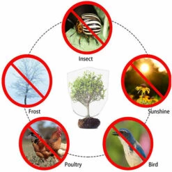 BENOBBY KIDS 0,8 * 0,8 M Serrure à Cordon, Filet à L'épreuve Des Insectes Et Des Oiseaux Avec Cordon De Serrage, Lot De 2 Sacs De Protection Des Fruits Pour Le Jardin -Protection Pour Végétaux Soldes 56864036 5
