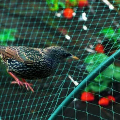 Randaco Filet De Bassin 2 M X 5 M Vert Filet D'étang à Poisson, Filet à Feuilles, Filet, Filet De Protection Contre Les Oiseaux, Robuste -Protection Pour Végétaux Soldes 56867385 5