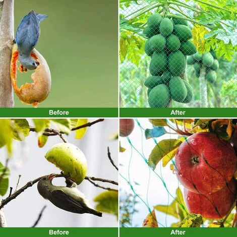 AIDUCHO 2m X 5m Filet Anti Oiseaux Filet De Protection Jardin Filet Potager Arbre Fruitier Avec 10 Piquets De Jardin En Forme De U Et 30 Attaches De Câble Pour Plante Potager Bassin De Jardin 6 AIDUCHO 2m X 5m Filet Anti Oiseaux Filet De Protection Jardin Filet Potager Arbre Fruitier Avec 10 Piquets De Jardin En Forme De U Et 30 Attaches De Câble Pour Plante Potager Bassin De Jardin – Image 4