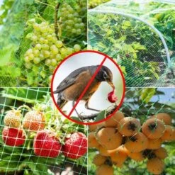 AIDUCHO 2m X 8m Filet Anti Oiseaux Filet De Protection Jardin Filet Potager Arbre Fruitier Avec 10 Piquets De Jardin En Forme De U Et 30 Attaches De Câble Pour Plante Potager Bassin De Jardin -Protection Pour Végétaux Soldes 56928973 3