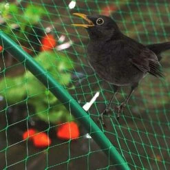 PERLE RARE 4 X 6 M Vert Oiseau Filet Filet De Bassin De Jardin Pour Plantes Maille Filet De Protection -Protection Pour Végétaux Soldes 57016707 5