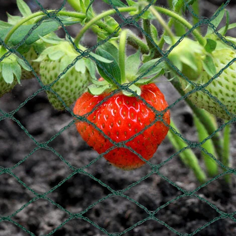 SWANEW Filet De Protection Piscine Filet Pour Bassin Polyéthylène Filet De Bassin Filet De Jardin Vert Filet Anti-o Filet De Couverture D'étang De Jardim 2x10M - Vert 3 SWANEW Filet De Protection Piscine Filet Pour Bassin Polyéthylène Filet De Bassin Filet De Jardin Vert Filet Anti-o Filet De Couverture D'étang De Jardim 2x10M - Vert