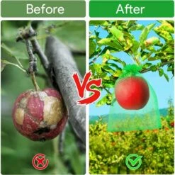 MACARON Sac Protection Fruits 100 Pièces, Sachet Protection Raisin 20x 30cm Jardin Sac Organza Avec Cordon Contre Guêpe Drosophile Scarabées Oiseaux (Vert)LO-Ron -Protection Pour Végétaux Soldes 57779719 5