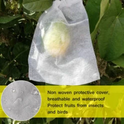 MACARON Lot De 25 Sacs De Protection Pour Fruits En Avec Cordon De Serrage Ensachage De Fruits, à L'épreuve Des Oiseaux, Imperméable, à L'épreuve Des Insectes, Sac De Fruits Végétaux, Ensachage De Semis（24*36cm）LO-Ron -Protection Pour Végétaux Soldes 57779727 5