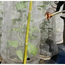 CADEAUX Jardin Filet Anti Insecte Potager: 3 X 3.6 M Maille Fine Protection Pour Poireaux Arbre Fruitier Jardinage Voile De Plantes Blanche 9 CADEAUX Jardin Filet Anti Insecte Potager: 3 X 3.6 M Maille Fine Protection Pour Poireaux Arbre Fruitier Jardinage Voile De Plantes Blanche -Protection Pour Végétaux Soldes 57964119 3