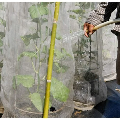 CADEAUX Jardin Filet Anti Insecte Potager: 3 X 3.6 M Maille Fine Protection Pour Poireaux Arbre Fruitier Jardinage Voile De Plantes Blanche 5 CADEAUX Jardin Filet Anti Insecte Potager: 3 X 3.6 M Maille Fine Protection Pour Poireaux Arbre Fruitier Jardinage Voile De Plantes Blanche – Image 3
