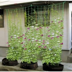 BENOBBY KIDS 27 Brins De Filets D'escalade Pour Plantes De Jardinage, Melon Et Fruits Gloire Du Matin Fleurs Grimpantes Vignes Grimpantes, Cordes D'escalade, Taille 1,8 * 2,7 M -Protection Pour Végétaux Soldes 58330945 5