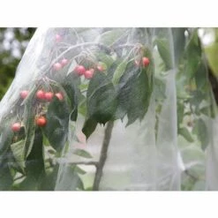 BENOBBY KIDS Filet De Jardin, Filet à Mailles Moustiquaire Pour Insectes, Filet Pour Oiseaux De Jardin, Barrière Antiparasitaire Pour Protéger Les Plantes Et Les Fruits Du Jardin Contre Les Oiseaux Et Les Insectes, Filet Pour Oiseaux De Jardin (blanc) Filet En Nylon A 11 BENOBBY KIDS Filet De Jardin, Filet à Mailles Moustiquaire Pour Insectes, Filet Pour Oiseaux De Jardin, Barrière Antiparasitaire Pour Protéger Les Plantes Et Les Fruits Du Jardin Contre Les Oiseaux Et Les Insectes, Filet Pour Oiseaux De Jardin (blanc) Filet En Nylon A -Protection Pour Végétaux Soldes 58330985 5