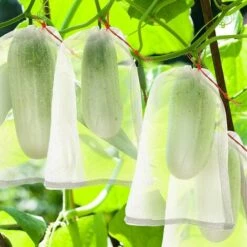 LTS FAFA 50 Pi¨¨ces Sac De Protection De Fruits De Raisins, Sac En Organza Des Fruits R¨¦utilisables Sacs En Maille Filet Avec Cordon De Serrage Sacs De Rangement Pour Fruits L¨¦gumes (30 X 20 Cm) -Protection Pour Végétaux Soldes 58368750 4