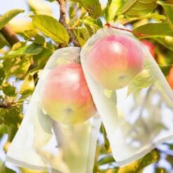 LTS FAFA 50 Pi¨¨ces Sac De Protection De Fruits De Raisins, Sac En Organza Des Fruits R¨¦utilisables Sacs En Maille Filet Avec Cordon De Serrage Sacs De Rangement Pour Fruits L¨¦gumes (30 X 20 Cm) -Protection Pour Végétaux Soldes 58368750 5