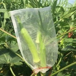 AOUGO 100 Pièces Jardin Plante Fruits Protection Sac Cordon Filet Sac Insectes Moustique Insecte Ravageur Oiseaux Jardin Protéger Sacs 10 Cm X 15 Cm 9 AOUGO 100 Pièces Jardin Plante Fruits Protection Sac Cordon Filet Sac Insectes Moustique Insecte Ravageur Oiseaux Jardin Protéger Sacs 10 Cm X 15 Cm -Protection Pour Végétaux Soldes 58693504 3