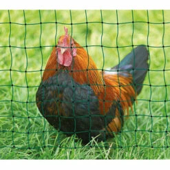 FREOSEN Filet à Volaille 30mX1.5m Filet De Protection Pour Poules Oies Dindons Etc + 30 Piquets De Terre - Filet De Protection Contre Les Oiseaux -Protection Pour Végétaux Soldes 59039002 2