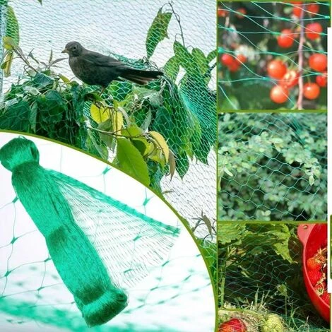 LTS FAFA Filet De Protection Oiseaux, Filet De Jardin Anti-Oiseau Anti-Feuilles Filet De Bassin En PE Pour Protéger Légumes Fruits Plantes Bassin Jardin Balcon Volaille Elevage 4 LTS FAFA Filet De Protection Oiseaux, Filet De Jardin Anti-Oiseau Anti-Feuilles Filet De Bassin En PE Pour Protéger Légumes Fruits Plantes Bassin Jardin Balcon Volaille Elevage – Image 2