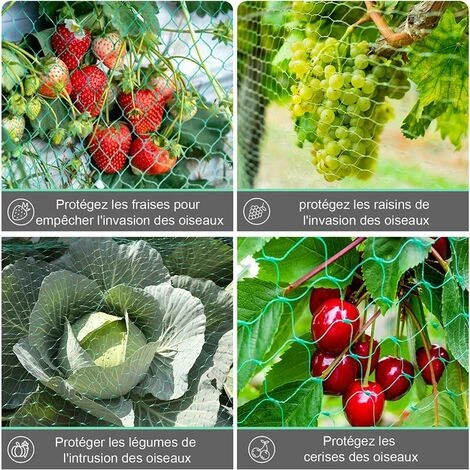LTS FAFA Filet De Protection Oiseaux, Filet De Jardin Anti-Oiseau Anti-Feuilles Filet De Bassin En PE Pour Protéger Légumes Fruits Plantes Bassin Jardin Balcon Volaille Elevage 6 LTS FAFA Filet De Protection Oiseaux, Filet De Jardin Anti-Oiseau Anti-Feuilles Filet De Bassin En PE Pour Protéger Légumes Fruits Plantes Bassin Jardin Balcon Volaille Elevage – Image 4