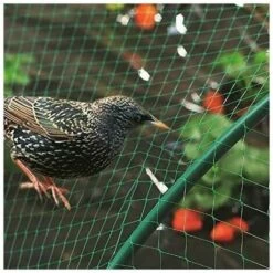 LTS FAFA Filet De Protection Oiseaux, Filet De Jardin Anti-Oiseau Anti-Feuilles Filet De Bassin En PE Pour Protéger Légumes Fruits Plantes Bassin Jardin Balcon Volaille Elevage 11 LTS FAFA Filet De Protection Oiseaux, Filet De Jardin Anti-Oiseau Anti-Feuilles Filet De Bassin En PE Pour Protéger Légumes Fruits Plantes Bassin Jardin Balcon Volaille Elevage -Protection Pour Végétaux Soldes 59153813 5