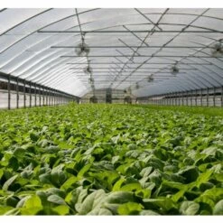 BENOBBY KIDS Jardin Filet Anti Insecte Potager: 3 X 5 M Maille Fine Protection Pour Poireaux Arbre Fruitier Jardinage Voile De Plantes Blanche -Protection Pour Végétaux Soldes 59207012 3