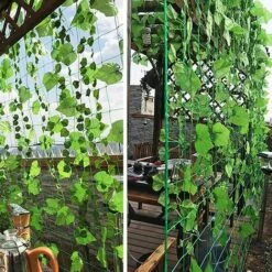 BENOBBY KIDS Filet D'escalade Pour Plantes, 1,8x5m Filet De Treillis Jardin Pour Plante Grimpantes En Nylon , Filet à Ramer Pour Récolte De Concombres Légume Tomates Et Autres Légumes 11 BENOBBY KIDS Filet D'escalade Pour Plantes, 1,8x5m Filet De Treillis Jardin Pour Plante Grimpantes En Nylon , Filet à Ramer Pour Récolte De Concombres Légume Tomates Et Autres Légumes -Protection Pour Végétaux Soldes 59207025 5