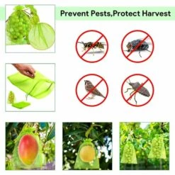 PERLE RARE Sac Protection Fruits 60 Pièces, Sachet Protection Raisin 20x 30cm Jardin Sac Organza Avec Cordon Contre Guêpe Drosophile Scarabées Oiseaux (Vert Mousse) -Protection Pour Végétaux Soldes 59324235 3