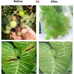 PERLE RARE Filet Pour Arbres Fruitiers, Filet De Protection Des Plantes 2 Pièces Avec Cordon De Serrage, Filet De Jardin (1 X 1,5 M/0,8 Mm Maille) -Protection Pour Végétaux Soldes 59968259 5