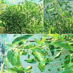 PERLE RARE Filet à Oiseaux De 10 M X 4 M, Filet à Oiseaux De Jardin, Filet à Oiseaux En Nylon Pour Protéger Les Arbres Fruitiers Et Les Légumes Des Oiseaux. -Protection Pour Végétaux Soldes 59968271 3