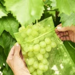 REGALOS 50pcs Sacs De Protection Des Fruits Lutte Antiparasitaire Filet De Jardin Anti-oiseaux Sacs De Fraises Sac De Raisins En Maille Cordon De Serrage Sacs De Culture (15 * 20cm) -Protection Pour Végétaux Soldes 60063523 2