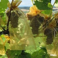 REGALOS 50pcs Sacs De Protection Des Fruits Lutte Antiparasitaire Filet De Jardin Anti-oiseaux Sacs De Fraises Sac De Raisins En Maille Cordon De Serrage Sacs De Culture (15 * 20cm) -Protection Pour Végétaux Soldes 60063523 3