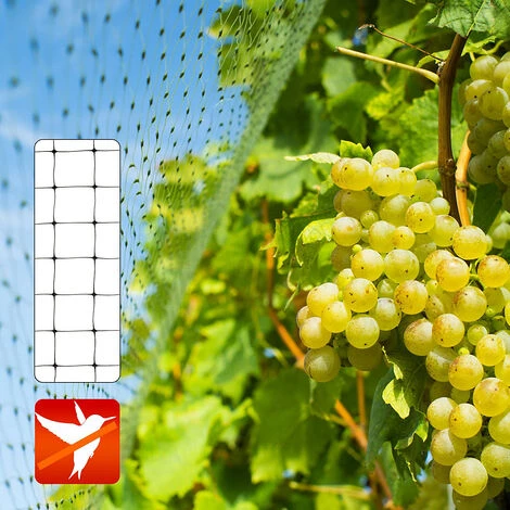 Filet Anti Oiseaux | Protection Des Arbres & Arbustes | LxL 5 X 2 M | Certeo - Noir 4 Filet Anti Oiseaux | Protection Des Arbres & Arbustes | LxL 5 X 2 M | Certeo - Noir – Image 2