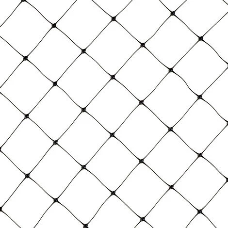 Filet Anti Oiseaux | Protection Des Arbres & Arbustes | LxL 5 X 2 M | Certeo - Noir 7 Filet Anti Oiseaux | Protection Des Arbres & Arbustes | LxL 5 X 2 M | Certeo - Noir – Image 5