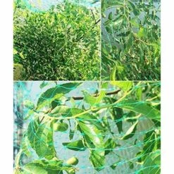 MODOU Filet Anti Oiseaux 4x10M Filets Pour Jardin Protecteur Maille Filet De Protection Filet De Volière Pour Arbre Fruits Légumes Étangs -Protection Pour Végétaux Soldes 60285958 5
