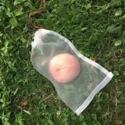 BENOBBY KIDS 30 Sacs De Protection De Fleurs De Fruits De Légumes, Sac De Protection De Plantes Fruitières Avec Cordon De Serrage, Protection De Plantes Fruitières, Sac De Filet Anti-insectes (30x20cm 11 BENOBBY KIDS 30 Sacs De Protection De Fleurs De Fruits De Légumes, Sac De Protection De Plantes Fruitières Avec Cordon De Serrage, Protection De Plantes Fruitières, Sac De Filet Anti-insectes (30x20cm -Protection Pour Végétaux Soldes 60720983 5