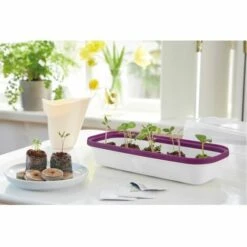 ROMBERG Boqube Display Bcle S <br /> 28 X 12 X 5 Cm, Très Stable, Couleur: Blanc / Prune 5 ROMBERG Boqube Display Bcle S <br /> 28 X 12 X 5 Cm, Très Stable, Couleur: Blanc / Prune -Protection Pour Végétaux Soldes 61212654 2